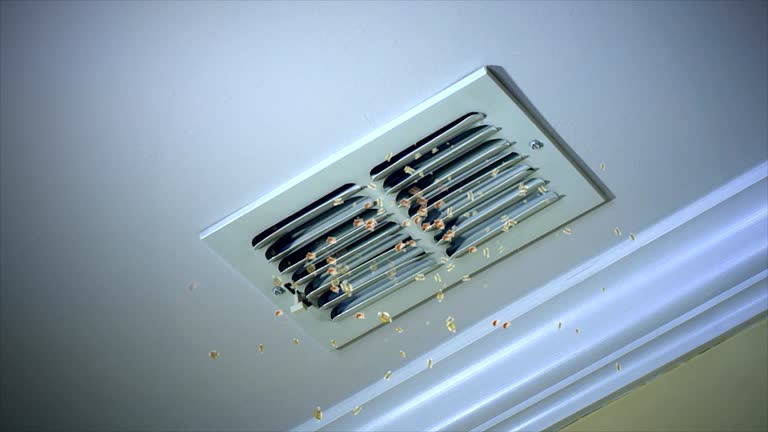 Ductwork Cleaning Services in Auburn, IN